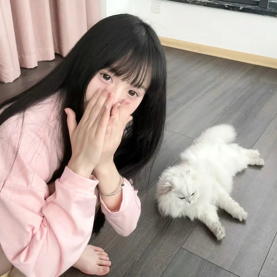 摩登女婿